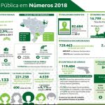 Brasil novo Record – 7 mortes por hora em 2017